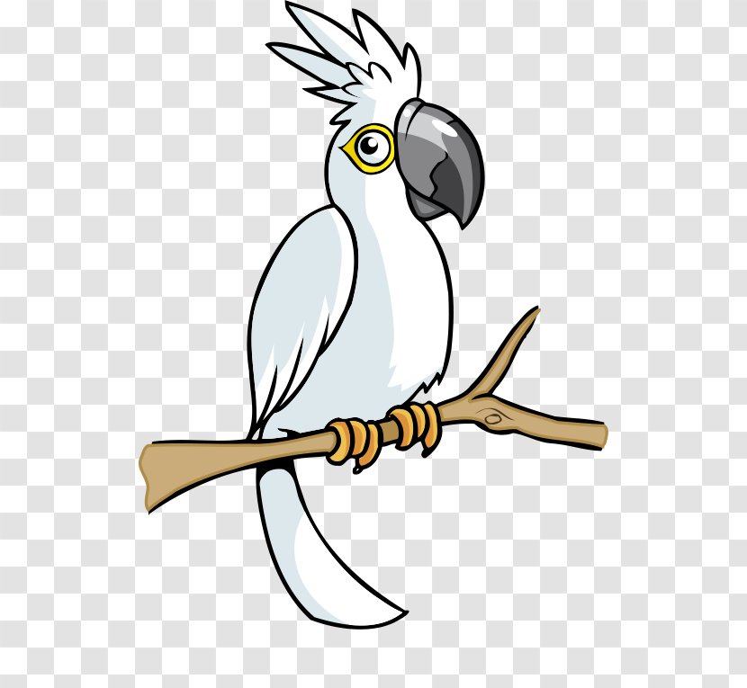 Bird Cockatoo Clip Art - Feather - White Cartoon Parrot Transparent PNG