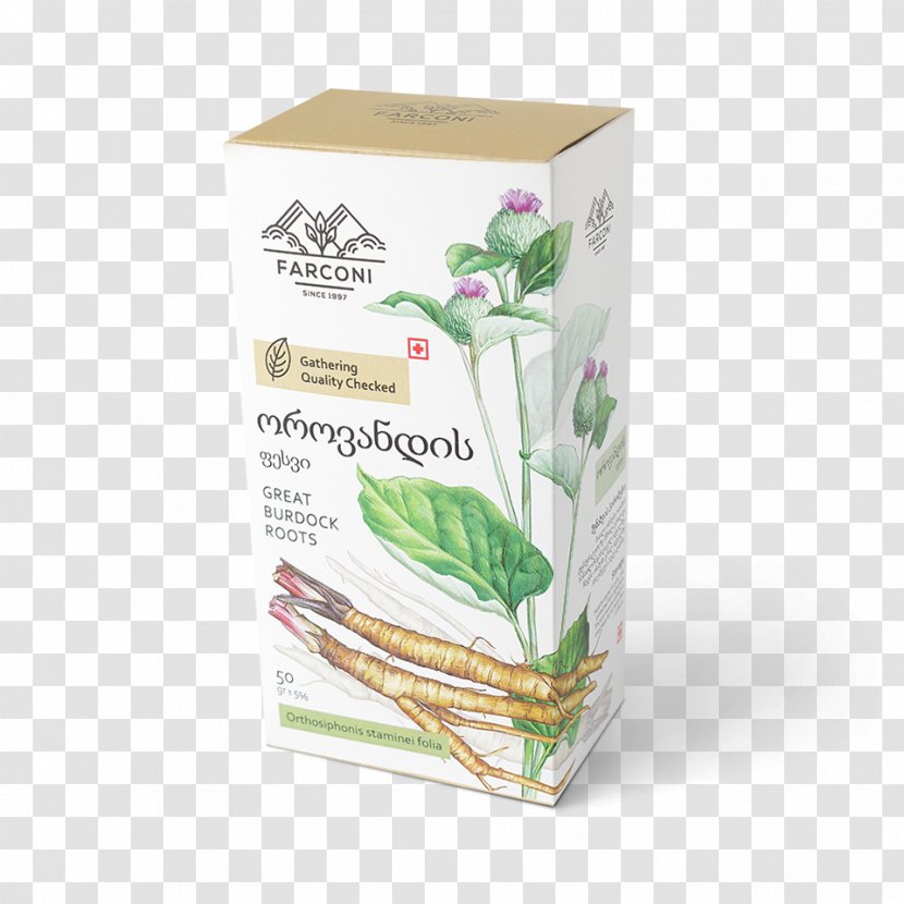 Georgia Herb .ge Tea Limited Liability Company - Berry - BURDOCK Transparent PNG