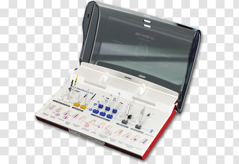 Membrane Implant Rooting Phase Path - Tool - Osseointegration Transparent PNG