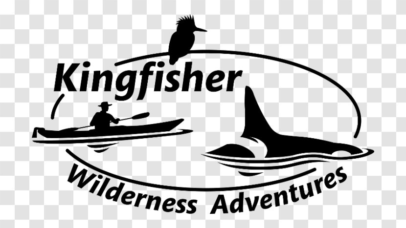 Marine Mammal Johnstone Strait Kingfisher Wilderness Adventures - Wing - Sea Kayaking Tours Cetaceans Whale WatchingSea Transparent PNG