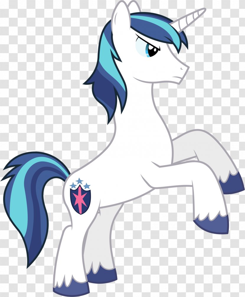 Princess Cadance Rainbow Dash Pony - Vertebrate - My Little Transparent PNG