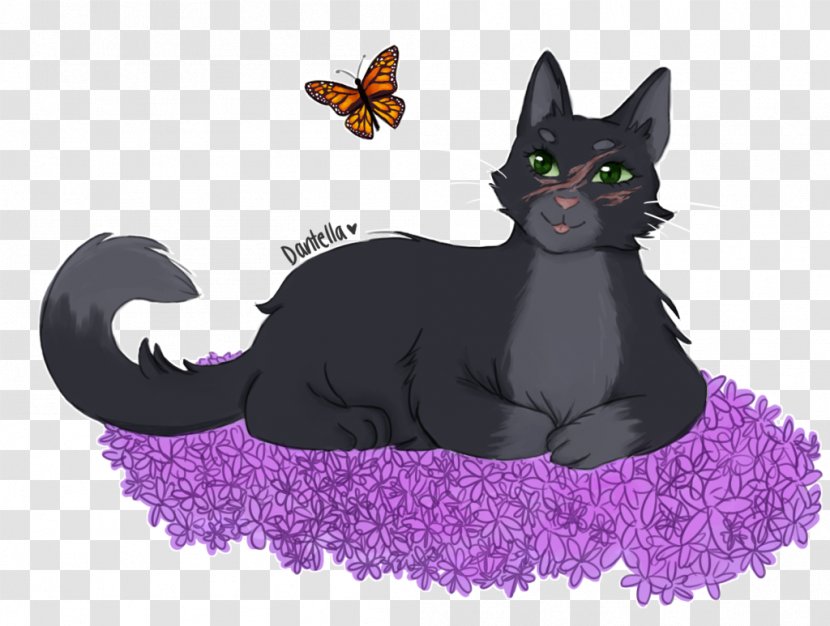 Black Cat Whiskers Dog Breed - Tree Transparent PNG