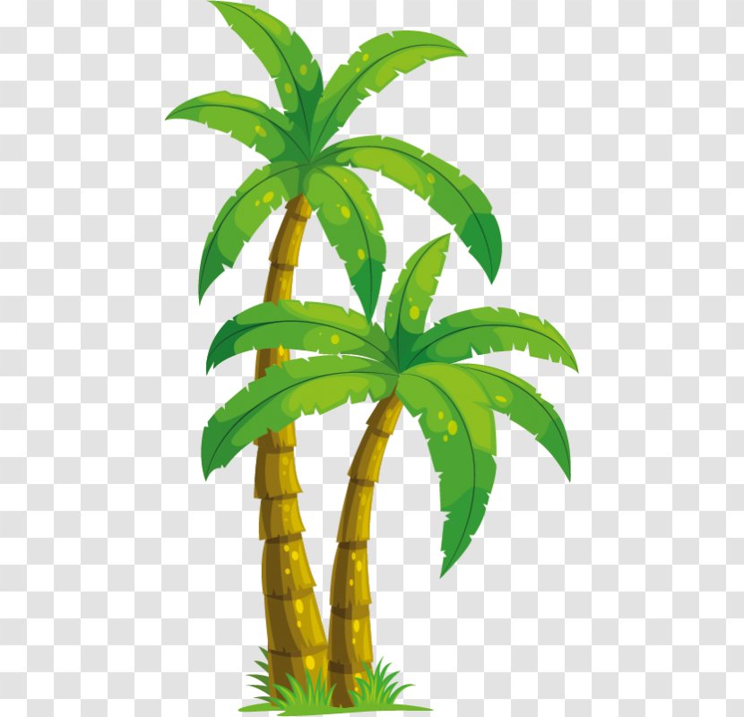 Arecaceae Coconut Drawing Clip Art - Silhouette - Pot Vector Transparent PNG