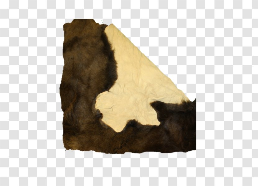 American Bison Montrail Plains Hide Painting Fur - Carnivora - Buffalo Skull Transparent PNG