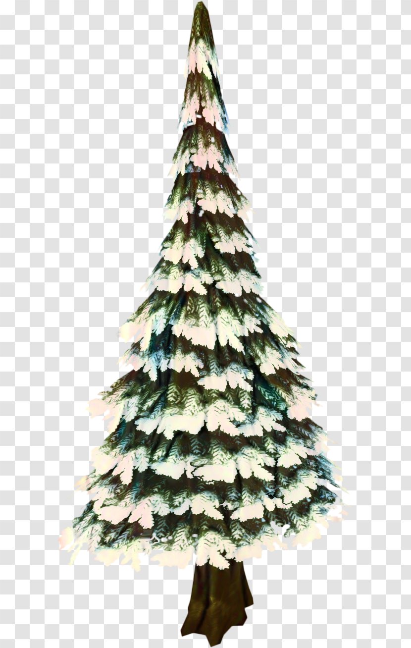 White Christmas Tree - Oregon Pine - Red Cypress Family Transparent PNG