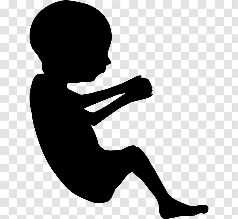 Fetus Pregnancy Mother Placenta Clip Art - Infant - Mom Vector Transparent PNG
