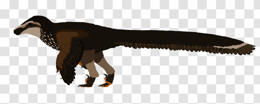 Dakotaraptor Saurian Velociraptor Tyrannosaurus Deinonychus - Brown Feathers Transparent PNG