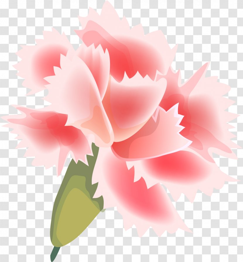 Carnation Flower Painting Garden Roses Petal - CARNATION Transparent PNG