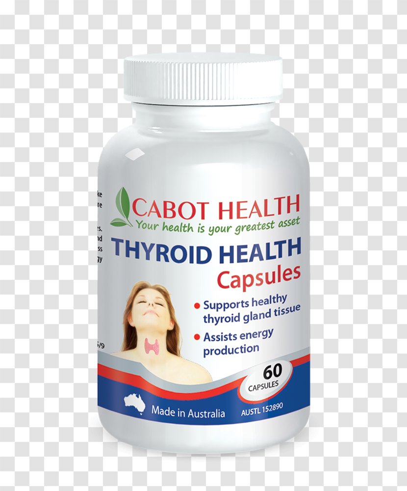 Dietary Supplement Thyroid Health Detoxification Nutrient - Gland Transparent PNG