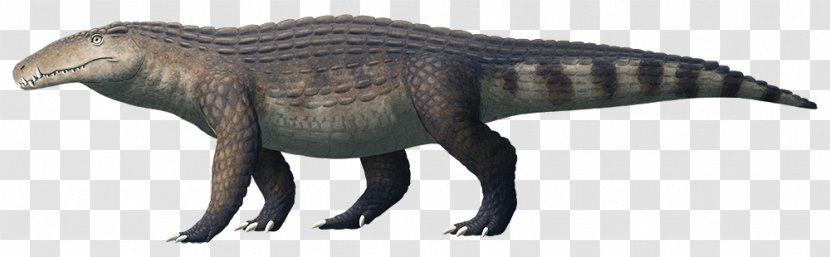 Crocodile Kaprosuchus Tyrannosaurus Terrestrisuchus Araripesuchus - Crocodiles - Animals Dinosaur Transparent PNG