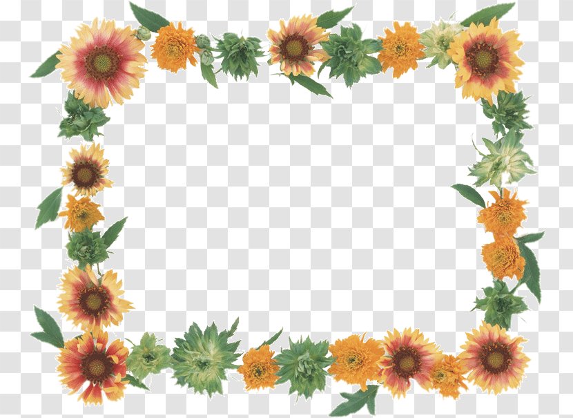 Paper Picture Frames Photography Flower Drawing - Photographic Transparent PNG