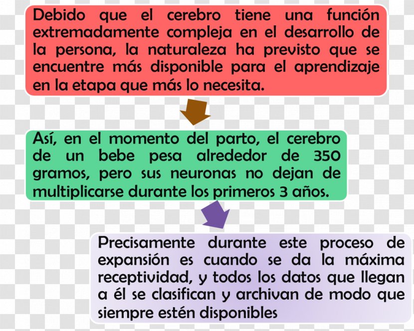 Learning Taringa! Document Area Material Transparent PNG