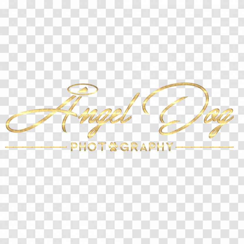Angel Dog Photography YouTube Logo Slide Show - Youtube Transparent PNG