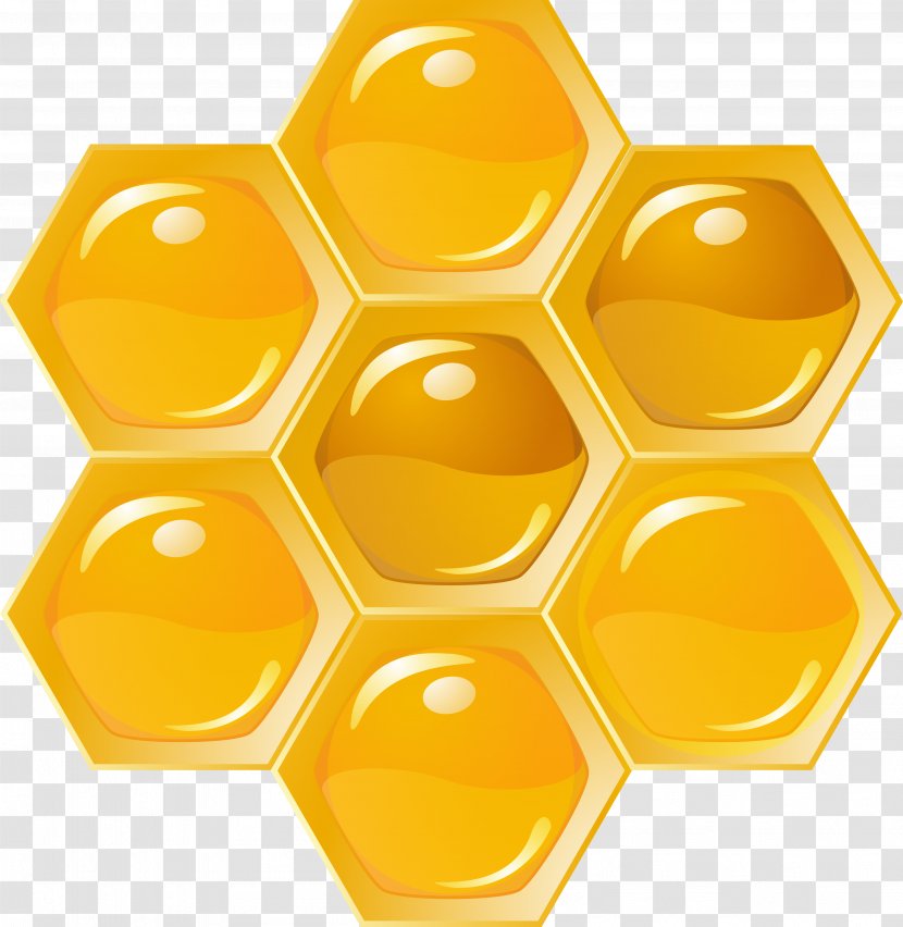 Western Honey Bee Honeycomb Beehive - Plastic Transparent PNG