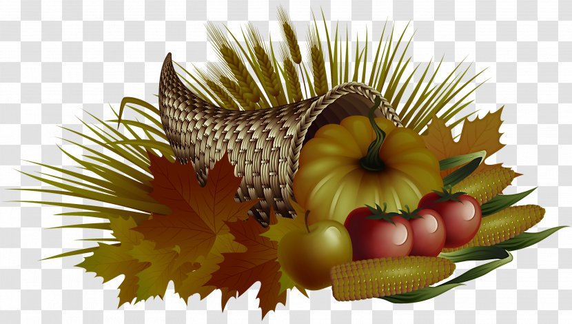 Plant Tree Fruit Transparent PNG