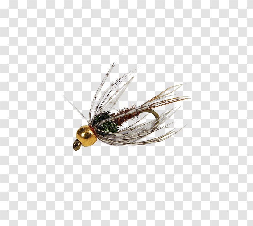 Artificial Fly Fishing Hackles - Wing Transparent PNG