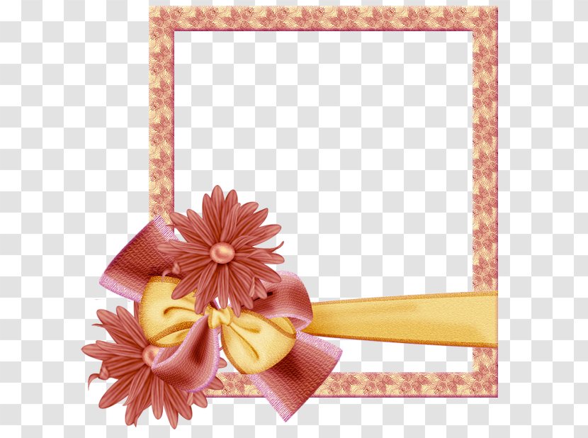 Paper Flower Picture Frames Photography - Gift Transparent PNG