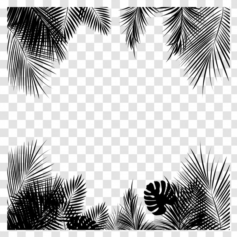 Asian Palmyra Palm Black & White - Pine Family - M Trees Pattern Leaf Transparent PNG