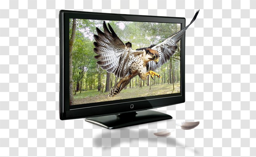 1080p High-definition Television Digital Set - Amlogic - Creative TV Element Transparent PNG
