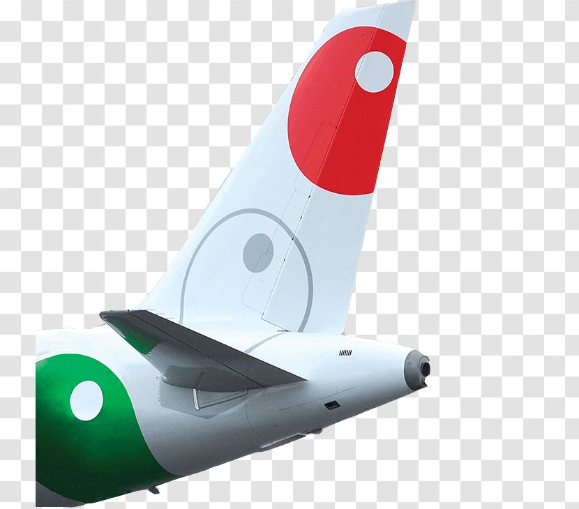 Airbus Airplane Airline VivaAerobús Flight Transparent PNG