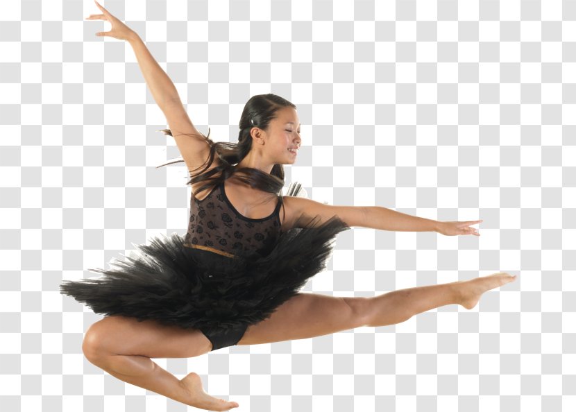 Modern Dance Ballet Choreography Sportswear - Tree Transparent PNG