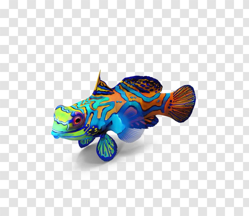 Mandarinfish Image Desktop Wallpaper - Fish Transparent PNG