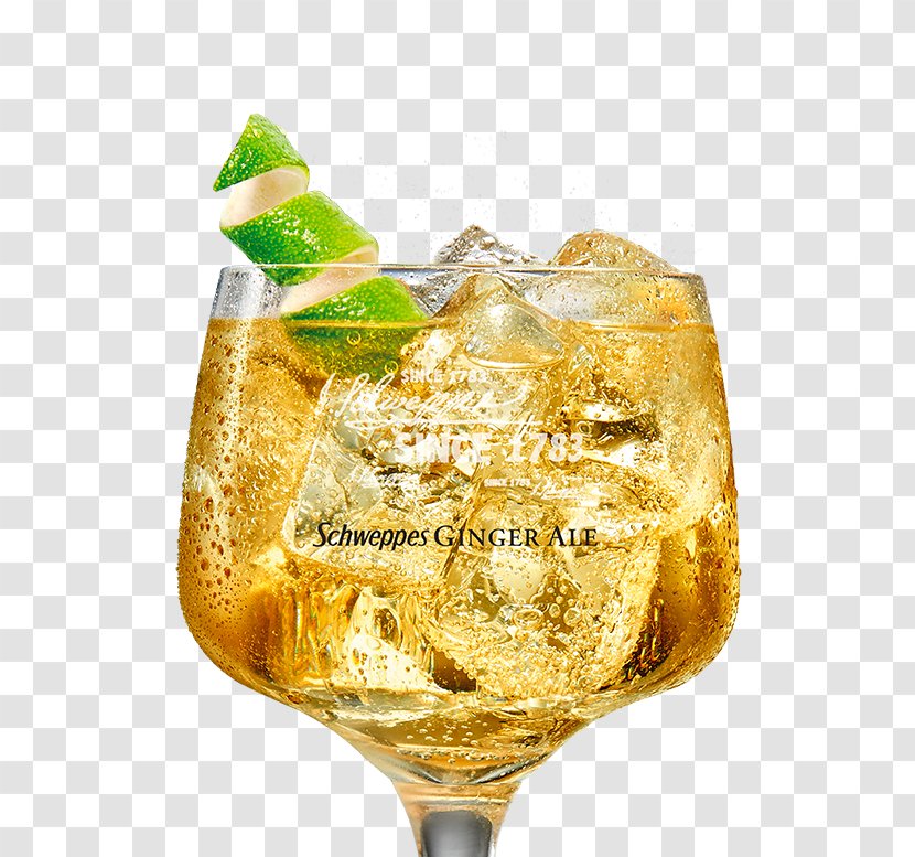 Cocktail Garnish Ginger Ale Gin And Tonic Vodka - Orange Juice - Whiskey Transparent PNG