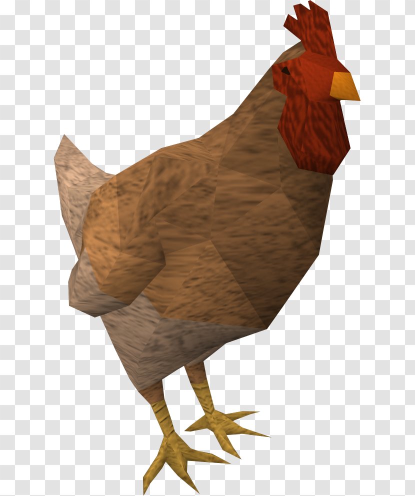 Chicken Bird Phasianidae Poultry Fowl - Fauna Transparent PNG