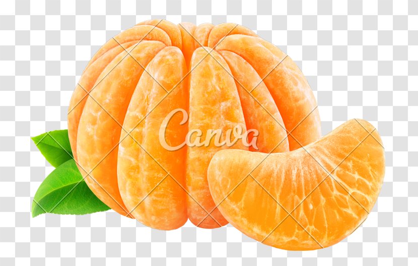 Tangerine Clementine Mandarin Orange Grapefruit Lemon - Tangelo Transparent PNG