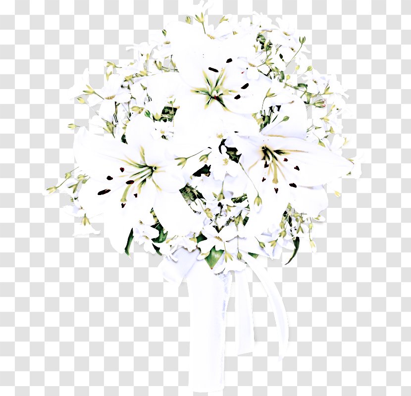 White Flower Plant Cut Flowers Bouquet - Heracleum Petal Transparent PNG