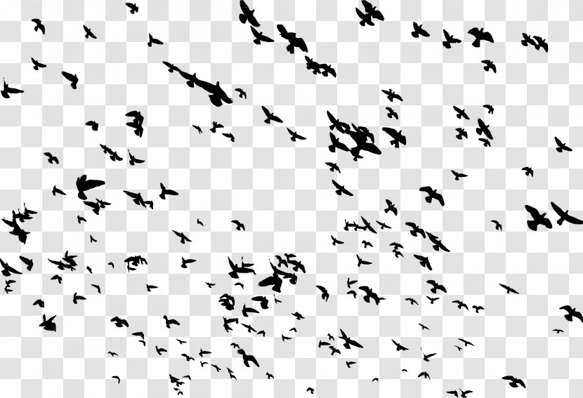 Bird Flight Flock Clip Art - Monochrome Photography - Flying Transparent PNG