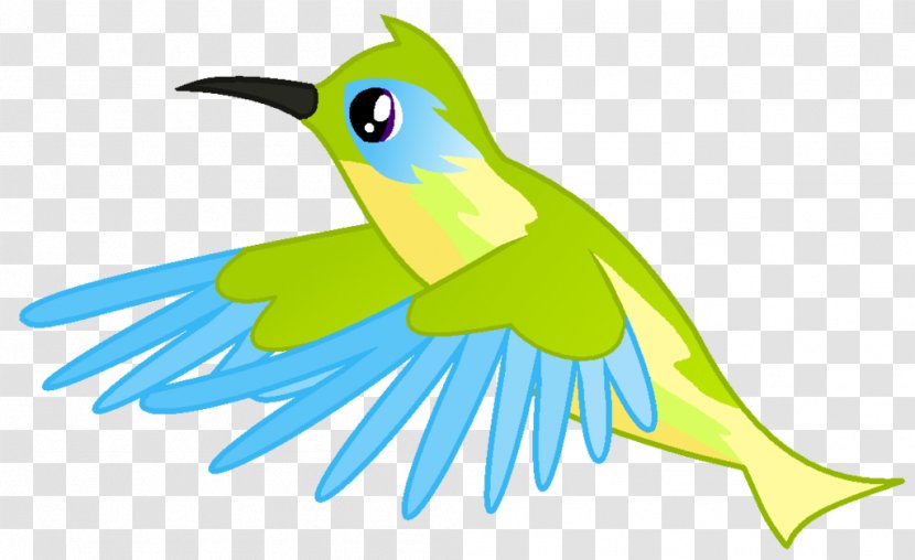 Hummingbird Macaw Clip Art - Child - Bird Transparent PNG