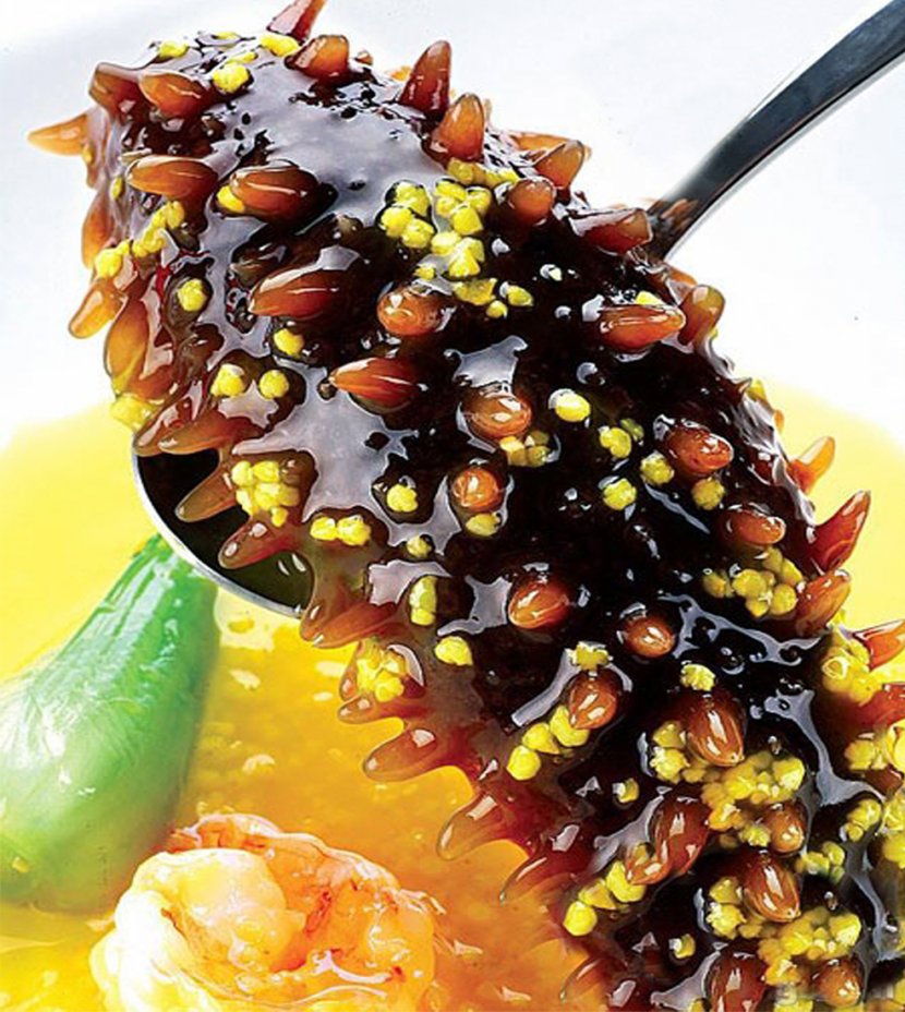 Sea Cucumber As Food Seafood Pickled Edible Birds Nest - Dish Transparent PNG