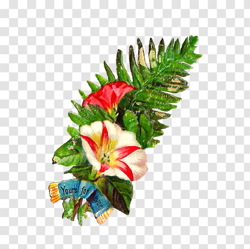 Flower Bouquet Clip Art - Cut Flowers - Graphic Images Transparent PNG