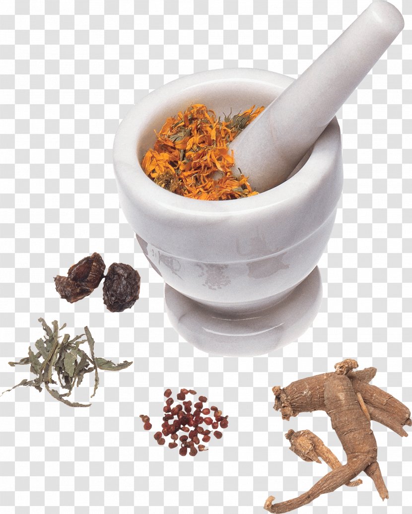 Therapy Alternative Health Services Homeopathy Traditional Chinese Medicine Pharmaceutical Drug - Herbs Transparent PNG