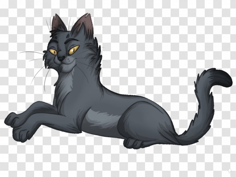 Black Cat Korat Whiskers Kitten Drawing Transparent PNG