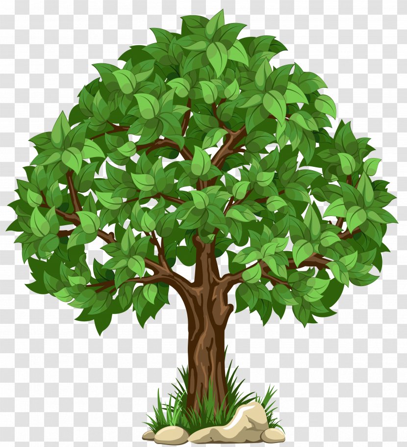 Tree Clip Art - Oak - Alpha Compositing Transparent PNG