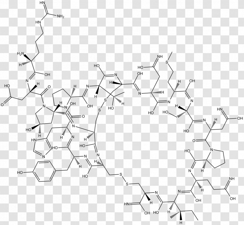 Drawing /m/02csf Circle Monochrome - Diagram - Pathway Transparent PNG