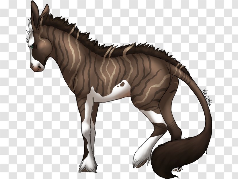 Mane Mustang Foal Stallion Colt - Rein Transparent PNG