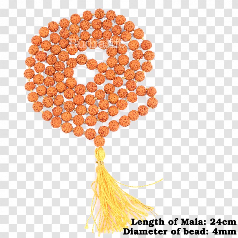 Rudraksha Rudralife Table Bead Bļoda - Rosary Transparent PNG