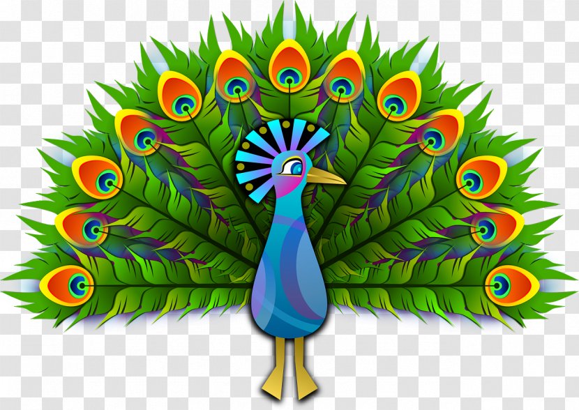 Bird Peafowl Clip Art - Peacock Transparent PNG