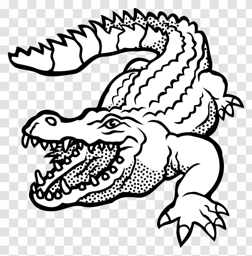 Alligators Crocodile Clip Art Drawing - Visual Arts Transparent PNG