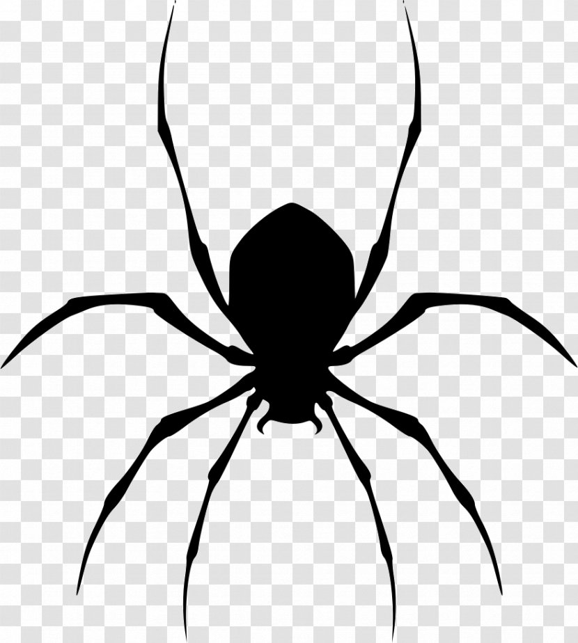Black House Spider Clip Art - And White Transparent PNG