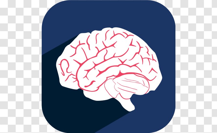 Stroke Neurosurgery Physical Therapy Brain Paralysis - Heart - Cerebrum Icon Transparent PNG