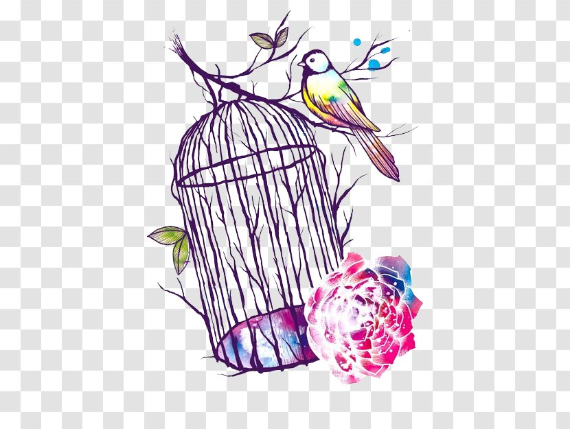 Racing Homer Birdcage Columbidae - Bird - Cage Transparent PNG