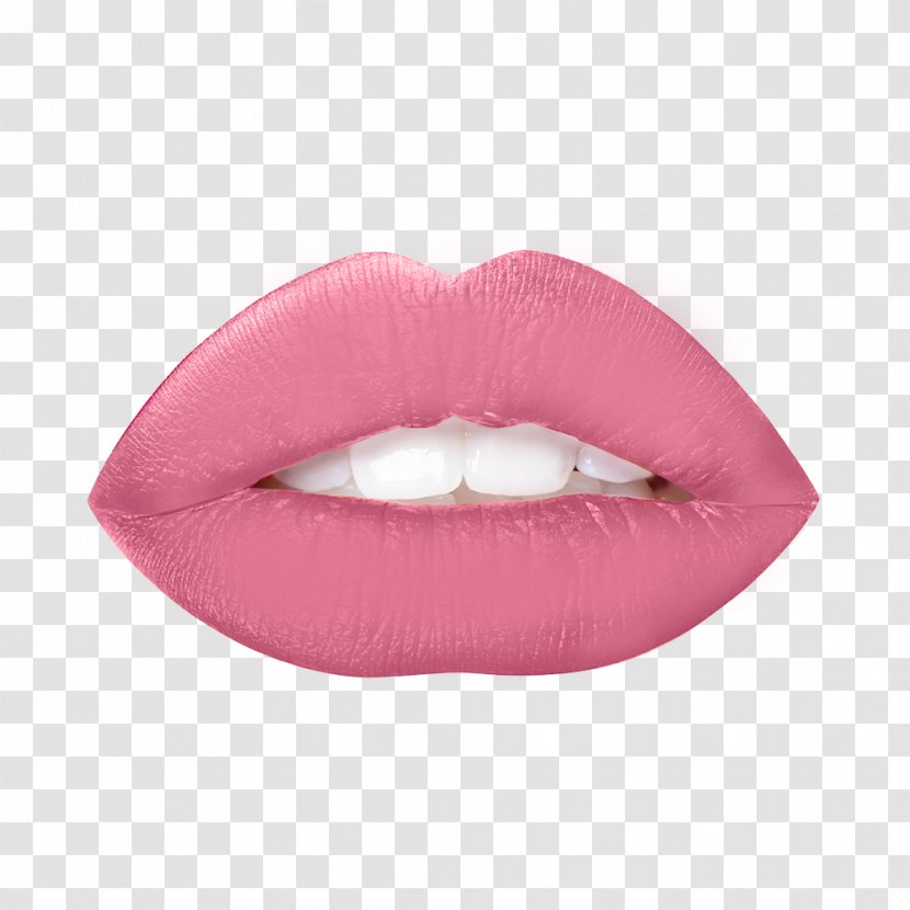 Clip Art Lip Augmentation Image - Mouth - Lips Icon Transparent PNG