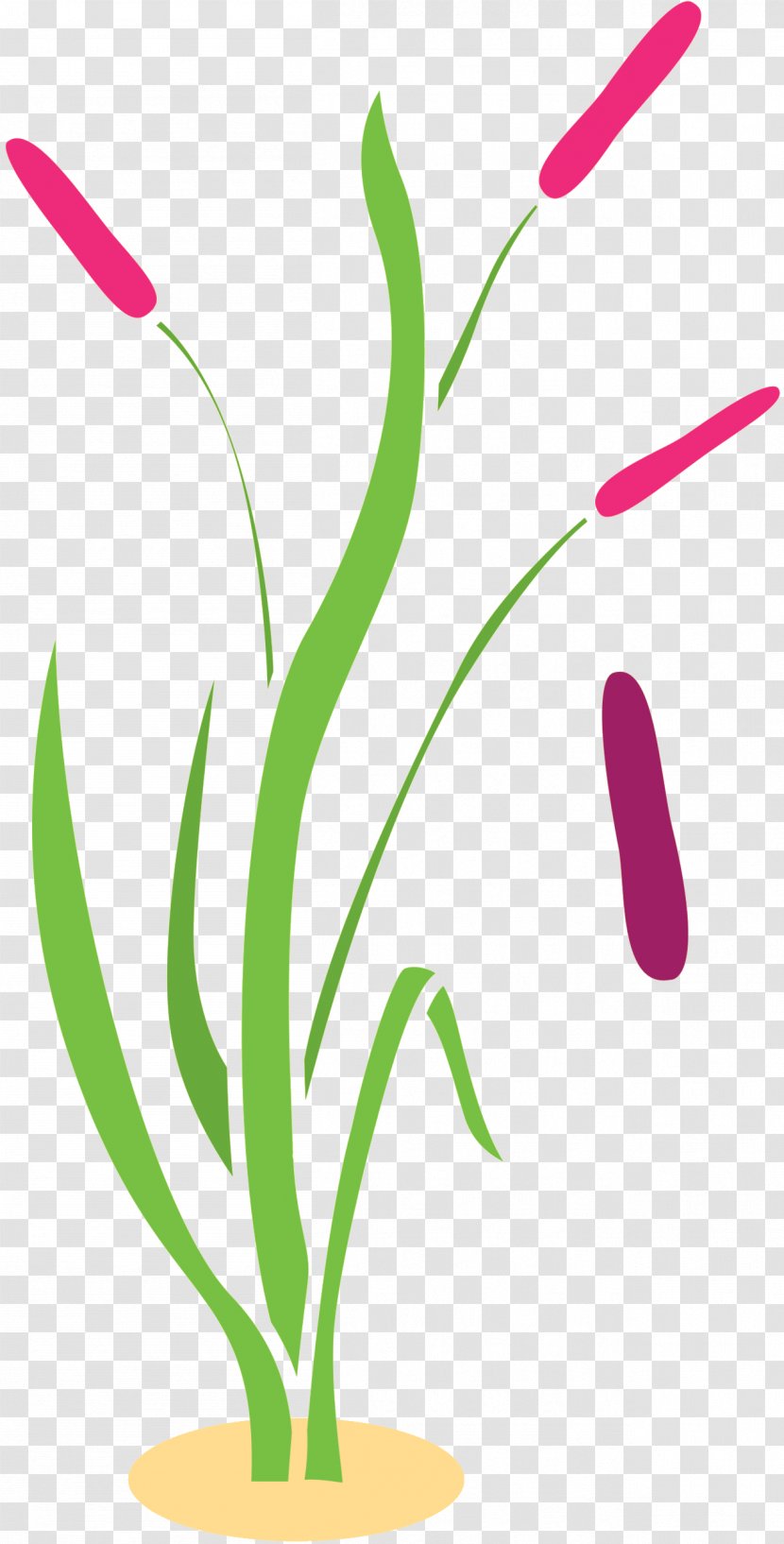Floral Design Plant Stem Grasses Leaf Font - Grass Transparent PNG