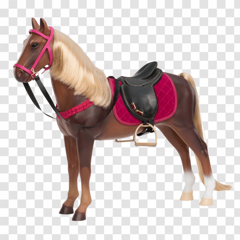 Morgan Horse American Quarter Appaloosa Foal Pony - Harnesses - Persian Transparent PNG
