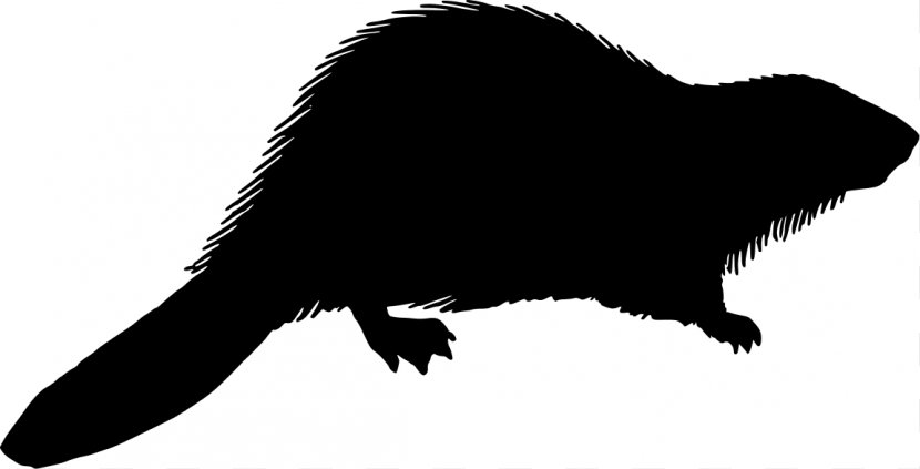 Beaver Silhouette Royalty-free Clip Art - Mink - Coffin Vector Transparent PNG
