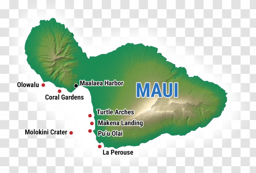 Molokini Snorkeling Lahaina Island Maui Classic Charters, Inc. - Charters Inc - Scarborough Sea Life Sanctuary Transparent PNG